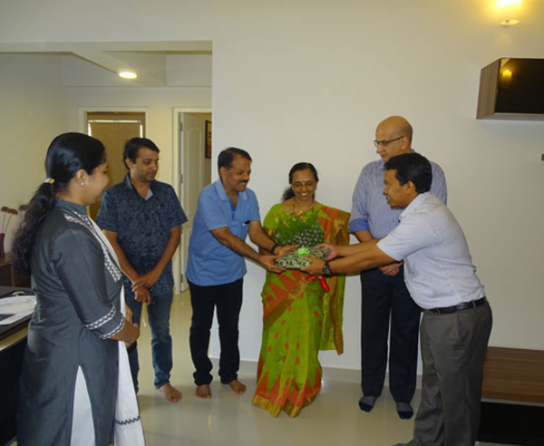 Crescent Aster - Handing over