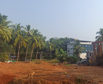 Tree cutting & uprooting completed