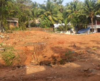 Tree cutting & uprooting completed