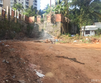 Tree cutting & uprooting completed